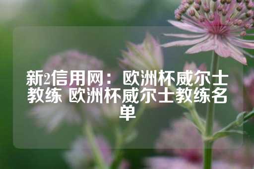 新2信用网：欧洲杯威尔士教练 欧洲杯威尔士教练名单-第1张图片-皇冠信用盘出租