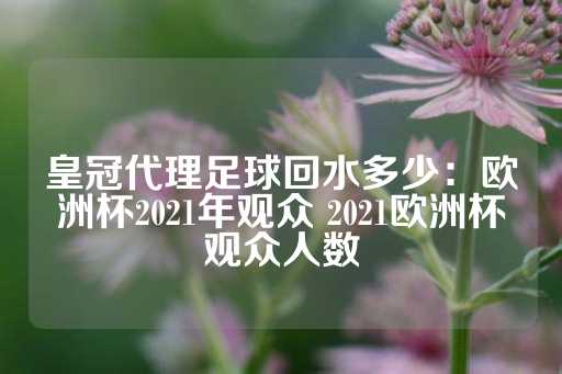 皇冠代理足球回水多少：欧洲杯2021年观众 2021欧洲杯观众人数-第1张图片-皇冠信用盘出租