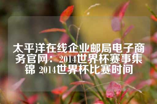 太平洋在线企业邮局电子商务官网：2014世界杯赛事集锦 2014世界杯比赛时间