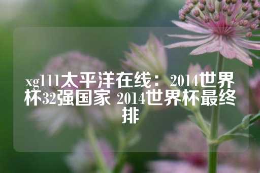 xg111太平洋在线：2014世界杯32强国家 2014世界杯最终排-第1张图片-皇冠信用盘出租