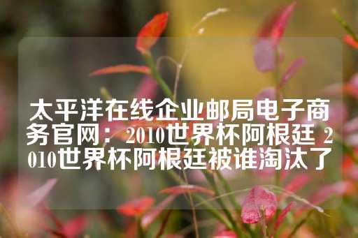 太平洋在线企业邮局电子商务官网：2010世界杯阿根廷 2010世界杯阿根廷被谁淘汰了