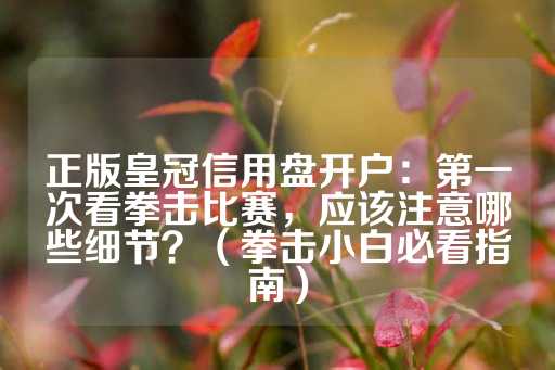 正版皇冠信用盘开户：第一次看拳击比赛，应该注意哪些细节？（拳击小白必看指南）