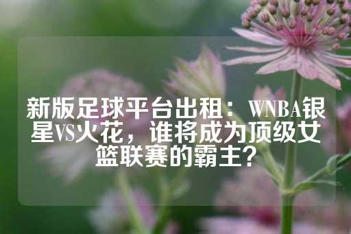 新版足球平台出租：WNBA银星VS火花，谁将成为顶级女篮联赛的霸主？