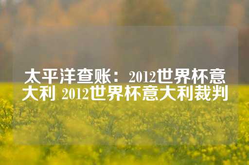 太平洋查账：2012世界杯意大利 2012世界杯意大利裁判