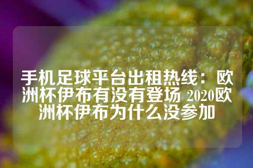 手机足球平台出租热线：欧洲杯伊布有没有登场 2020欧洲杯伊布为什么没参加