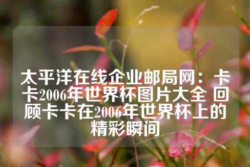 太平洋在线企业邮局网：卡卡2006年世界杯图片大全 回顾卡卡在2006年世界杯上的精彩瞬间