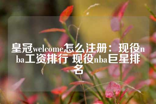 皇冠welcome怎么注册：现役nba工资排行 现役nba巨星排名