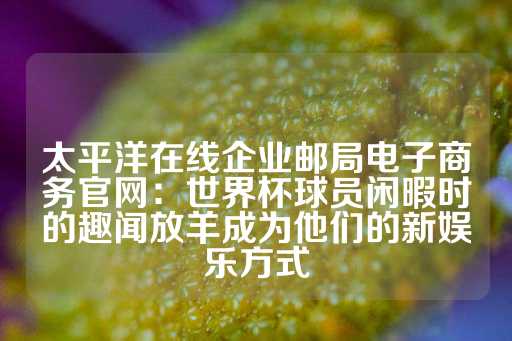 太平洋在线企业邮局电子商务官网：世界杯球员闲暇时的趣闻放羊成为他们的新娱乐方式