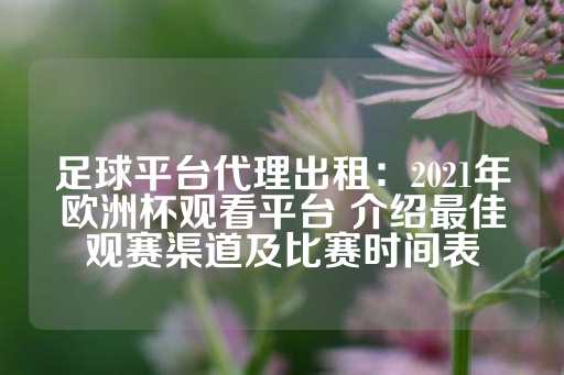 足球平台代理出租：2021年欧洲杯观看平台 介绍最佳观赛渠道及比赛时间表-第1张图片-皇冠信用盘出租