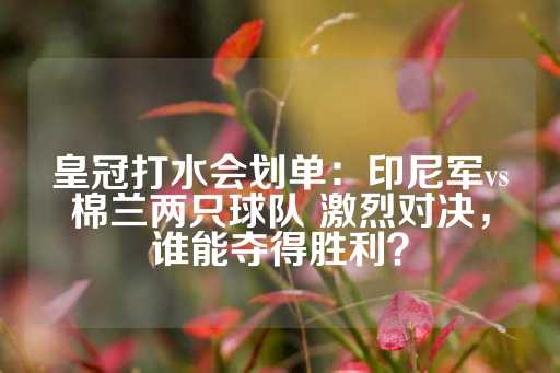 皇冠打水会划单：印尼军vs棉兰两只球队 激烈对决，谁能夺得胜利？