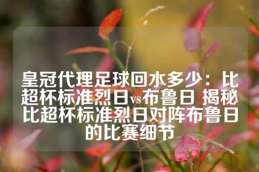 皇冠代理足球回水多少：比超杯标准烈日vs布鲁日 揭秘比超杯标准烈日对阵布鲁日的比赛细节