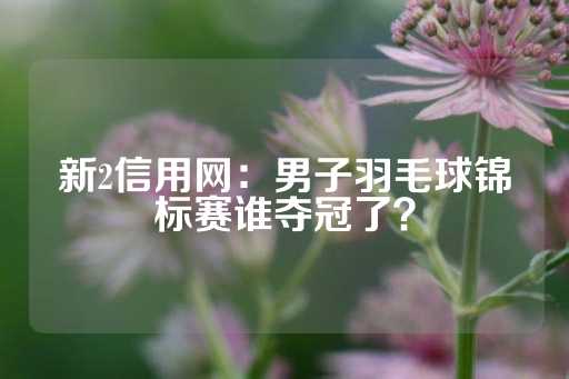 新2信用网：男子羽毛球锦标赛谁夺冠了？-第1张图片-皇冠信用盘出租