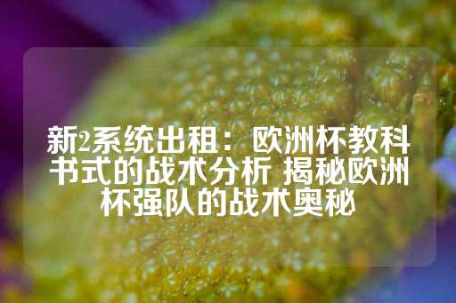 新2系统出租：欧洲杯教科书式的战术分析 揭秘欧洲杯强队的战术奥秘-第1张图片-皇冠信用盘出租