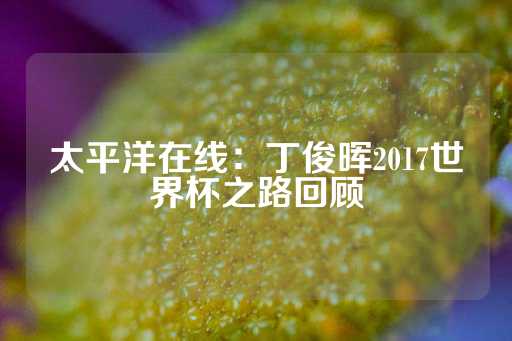 太平洋在线：丁俊晖2017世界杯之路回顾