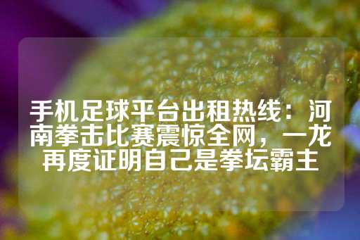 手机足球平台出租热线：河南拳击比赛震惊全网，一龙再度证明自己是拳坛霸主