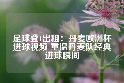 足球登1出租：丹麦欧洲杯进球视频 重温丹麦队经典进球瞬间