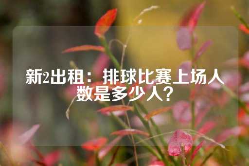 新2出租：排球比赛上场人数是多少人？