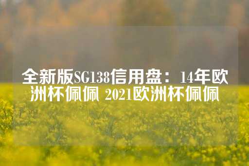 全新版SG138信用盘：14年欧洲杯佩佩 2021欧洲杯佩佩