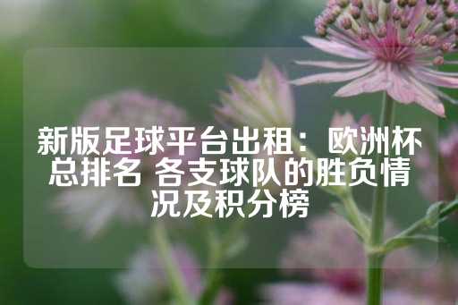 新版足球平台出租：欧洲杯总排名 各支球队的胜负情况及积分榜