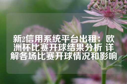 新2信用系统平台出租：欧洲杯比赛开球结果分析 详解各场比赛开球情况和影响