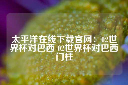 太平洋在线下载官网：02世界杯对巴西 02世界杯对巴西门柱-第1张图片-皇冠信用盘出租