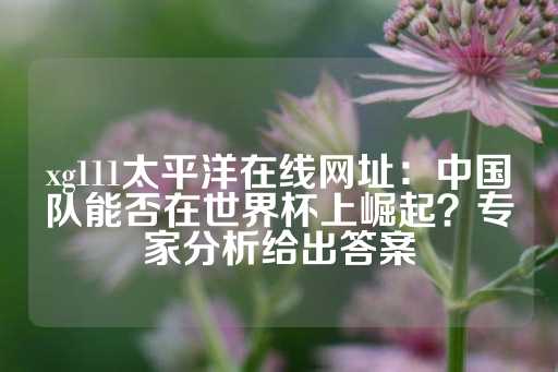 xg111太平洋在线网址：中国队能否在世界杯上崛起？专家分析给出答案