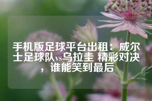 手机版足球平台出租：威尔士足球队vs乌拉圭 精彩对决，谁能笑到最后-第1张图片-皇冠信用盘出租