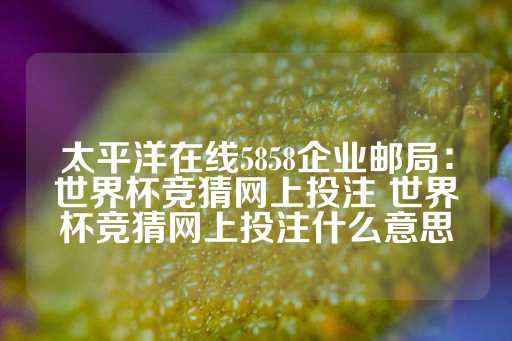 太平洋在线5858企业邮局：世界杯竞猜网上投注 世界杯竞猜网上投注什么意思