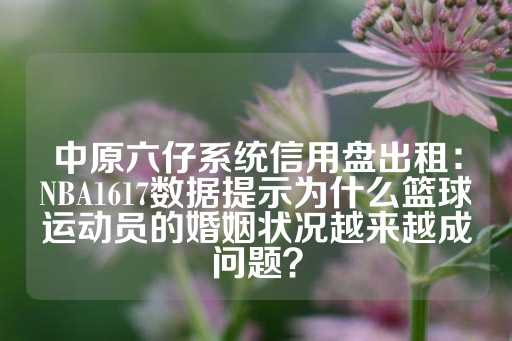 中原六仔系统信用盘出租：NBA1617数据提示为什么篮球运动员的婚姻状况越来越成问题？-第1张图片-皇冠信用盘出租