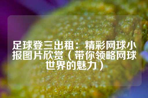 足球登三出租：精彩网球小报图片欣赏（带你领略网球世界的魅力）