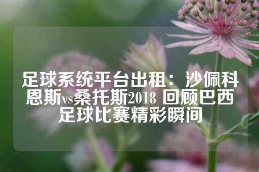 足球系统平台出租：沙佩科恩斯vs桑托斯2018 回顾巴西足球比赛精彩瞬间