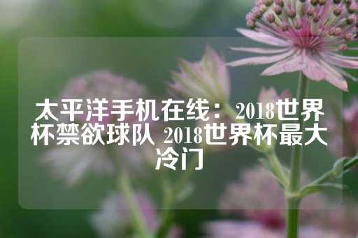 太平洋手机在线：2018世界杯禁欲球队 2018世界杯最大冷门