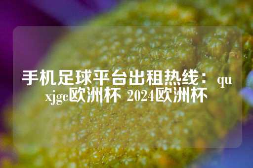 手机足球平台出租热线：quxjgc欧洲杯 2024欧洲杯