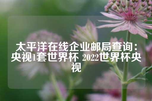 太平洋在线企业邮局查询：央视1套世界杯 2022世界杯央视-第1张图片-皇冠信用盘出租