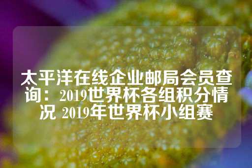 太平洋在线企业邮局会员查询：2019世界杯各组积分情况 2019年世界杯小组赛-第1张图片-皇冠信用盘出租