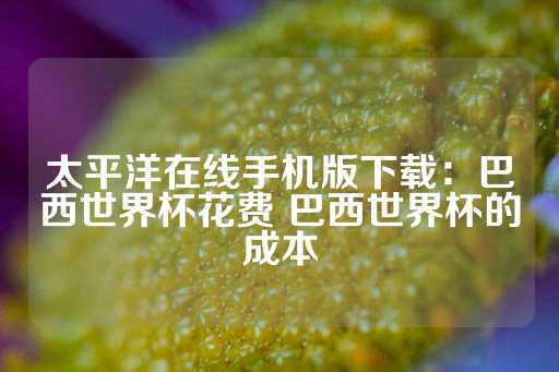 太平洋在线手机版下载：巴西世界杯花费 巴西世界杯的成本