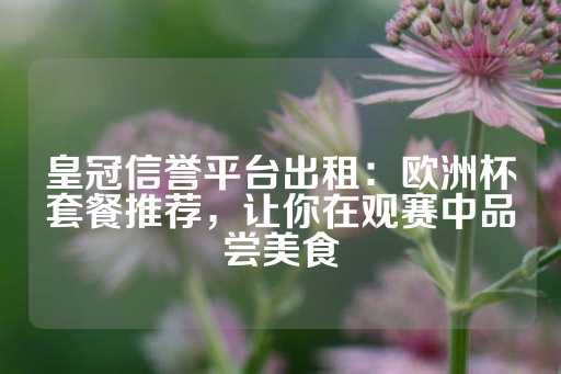 皇冠信誉平台出租：欧洲杯套餐推荐，让你在观赛中品尝美食-第1张图片-皇冠信用盘出租