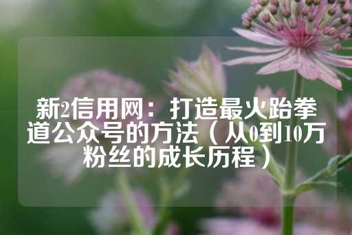 新2信用网：打造最火跆拳道公众号的方法（从0到10万粉丝的成长历程）