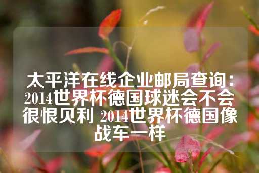 太平洋在线企业邮局查询：2014世界杯德国球迷会不会很恨贝利 2014世界杯德国像战车一样