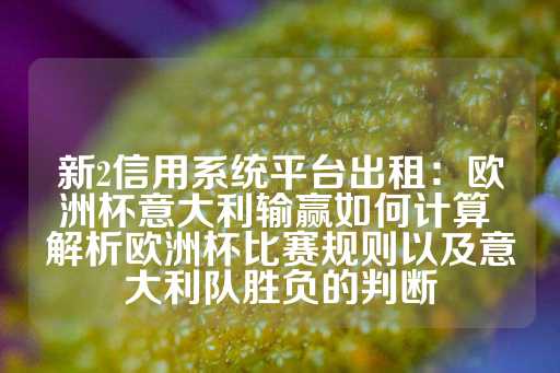 新2信用系统平台出租：欧洲杯意大利输赢如何计算 解析欧洲杯比赛规则以及意大利队胜负的判断