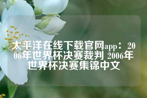 太平洋在线下载官网app：2006年世界杯决赛裁判 2006年世界杯决赛集锦中文