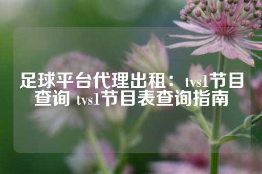 足球平台代理出租：tvs1节目查询 tvs1节目表查询指南-第1张图片-皇冠信用盘出租