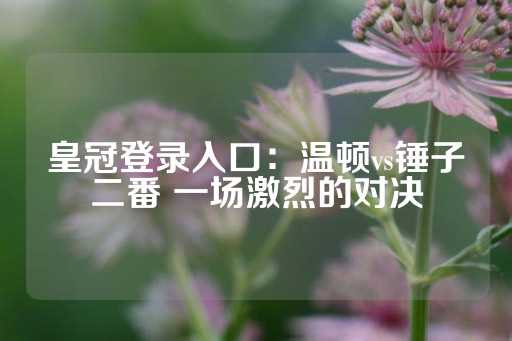 皇冠登录入口：温顿vs锤子二番 一场激烈的对决