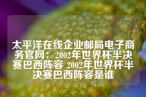 太平洋在线企业邮局电子商务官网：2002年世界杯半决赛巴西阵容 2002年世界杯半决赛巴西阵容是谁