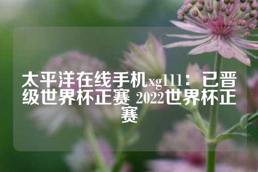 太平洋在线手机xg111：已晋级世界杯正赛 2022世界杯正赛-第1张图片-皇冠信用盘出租