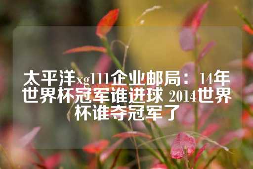 太平洋xg111企业邮局：14年世界杯冠军谁进球 2014世界杯谁夺冠军了-第1张图片-皇冠信用盘出租