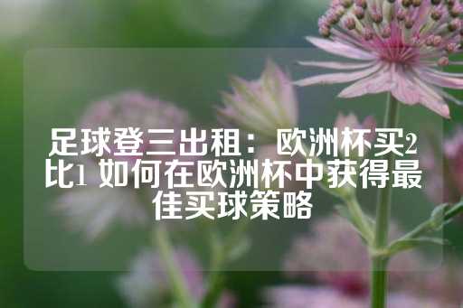 足球登三出租：欧洲杯买2比1 如何在欧洲杯中获得最佳买球策略-第1张图片-皇冠信用盘出租