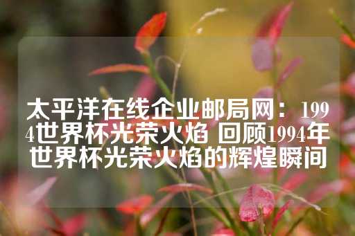 太平洋在线企业邮局网：1994世界杯光荣火焰 回顾1994年世界杯光荣火焰的辉煌瞬间