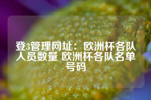 登3管理网址：欧洲杯各队人员数量 欧洲杯各队名单号码