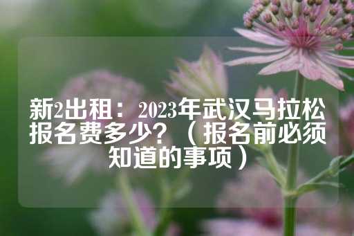 新2出租：2023年武汉马拉松报名费多少？（报名前必须知道的事项）-第1张图片-皇冠信用盘出租